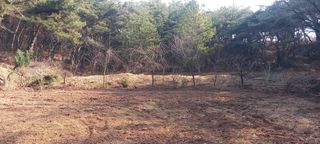 블루베리13935님의 자유주제 · 자유게시판 작성글 사진