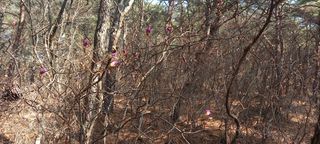 블루베리13935님의 자유주제 · 자유게시판 작성글 사진