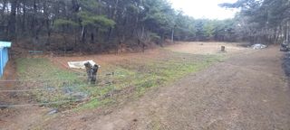 블루베리13935님의 자유주제 · 자유게시판 작성글 사진