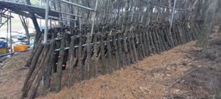 블루베리13935님의 자유주제 · 자유게시판 작성글 사진