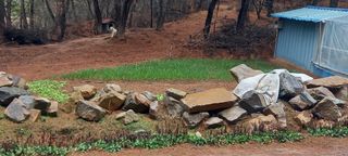 블루베리13935님의 자유주제 · 자유게시판 작성글 사진