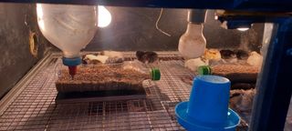 블루베리13935님의 자유주제 · 자유게시판 작성글 사진