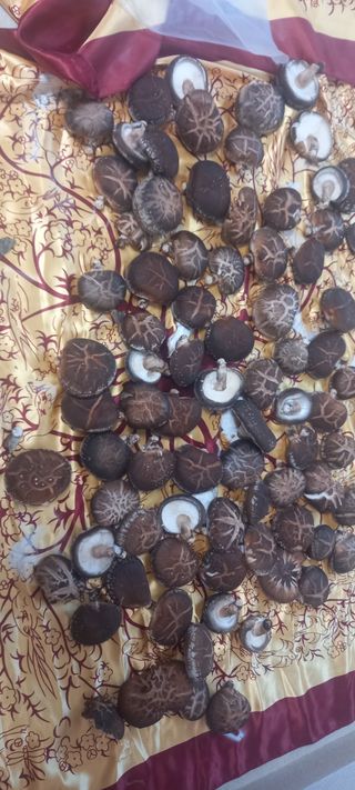 블루베리13935님의 자유주제 · 자유게시판 작성글 사진