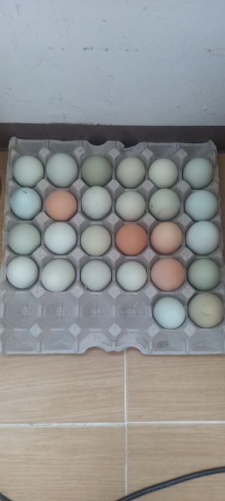 블루베리13935님의 자유주제 · 자유게시판 작성글 사진