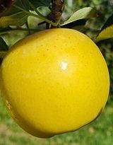 팜모닝 · 게시글 이미지