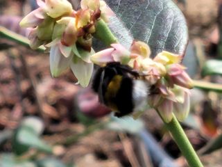 여우내 이순홍님의 자유주제 · 자유게시판 작성글 사진
