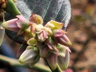 여우내 이순홍님의 자유주제 · 자유게시판 작성글 사진