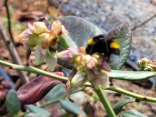 여우내 이순홍님의 자유주제 · 자유게시판 작성글 사진