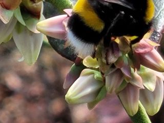 여우내 이순홍님의 자유주제 · 자유게시판 작성글 사진