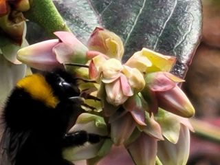 여우내 이순홍님의 자유주제 · 자유게시판 작성글 사진