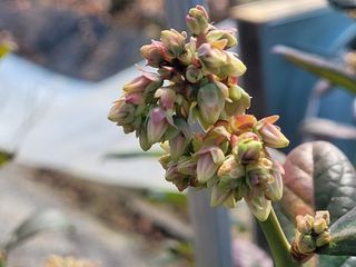 여우내 이순홍님의 자유주제 · 자유게시판 작성글 사진