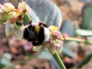 여우내 이순홍님의 자유주제 · 자유게시판 작성글 사진