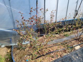 여우내 이순홍님의 자유주제 · 자유게시판 작성글 사진