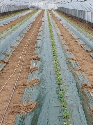 삼부자님의 자유주제 · 자유게시판 작성글 사진
