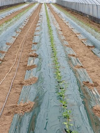 삼부자님의 자유주제 · 자유게시판 작성글 사진