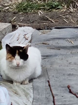 연산나무농장님의 자유주제 · 자유게시판 작성글 사진