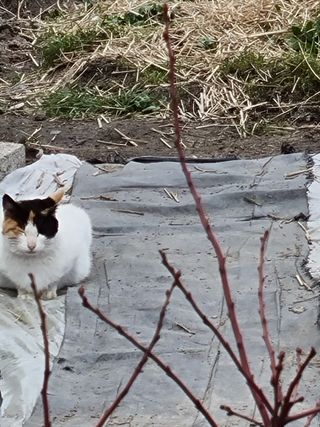 연산나무농장님의 자유주제 · 자유게시판 작성글 사진