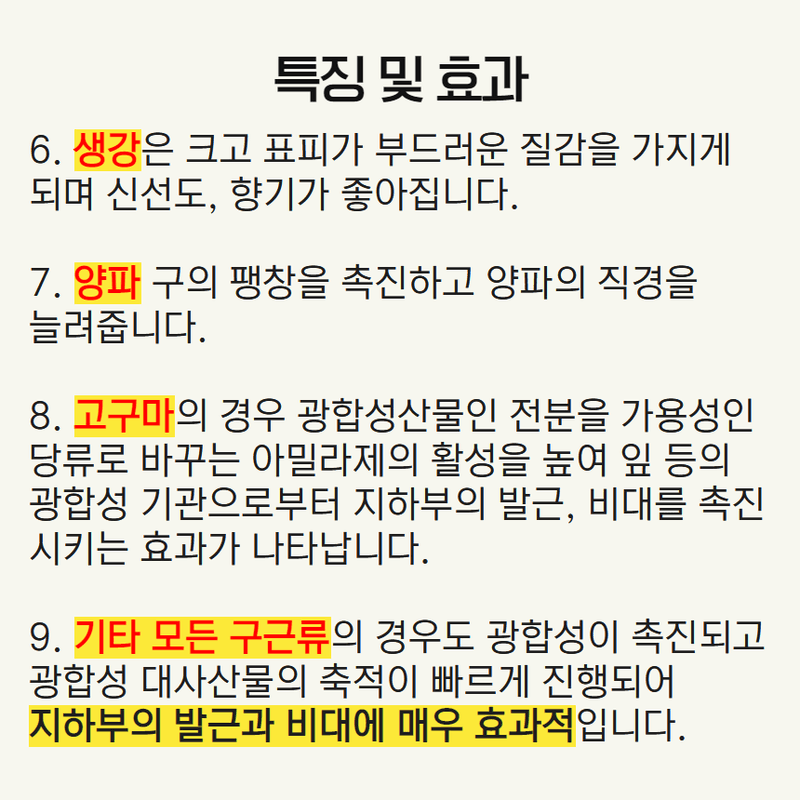 삼익농자재님의 장터 판매 상품 [[도프] 알뿌리 1L 생강 고구마 감자를 크게 도와주는 비타민 칼슘 고토 세포분열제] 첨부 사진