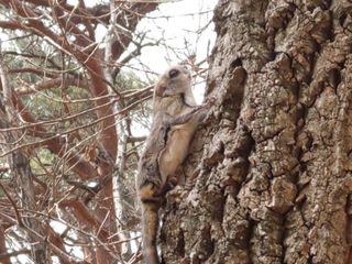 자유인 10496님의 자유주제 · 사진전 작성글 사진