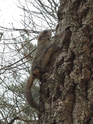 자유인 10496님의 자유주제 · 사진전 작성글 사진