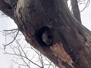 자유인 10496님의 자유주제 · 사진전 작성글 사진