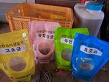 팜모닝 자유주제·자유게시판 게시글 이미지