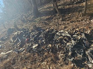 이재순님의 자유주제 · 건의해요 작성글 사진