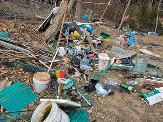 이재순님의 자유주제 · 건의해요 작성글 사진