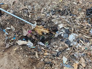 이재순님의 자유주제 · 건의해요 작성글 사진