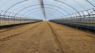 토성님의 고추 · 영농일지 작성글 사진