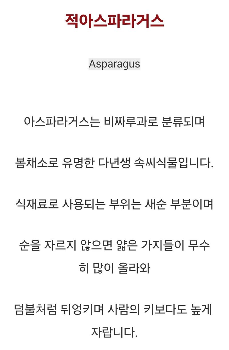 대산농사대장님의 장터 판매 상품 [적아스파라거스] 첨부 사진