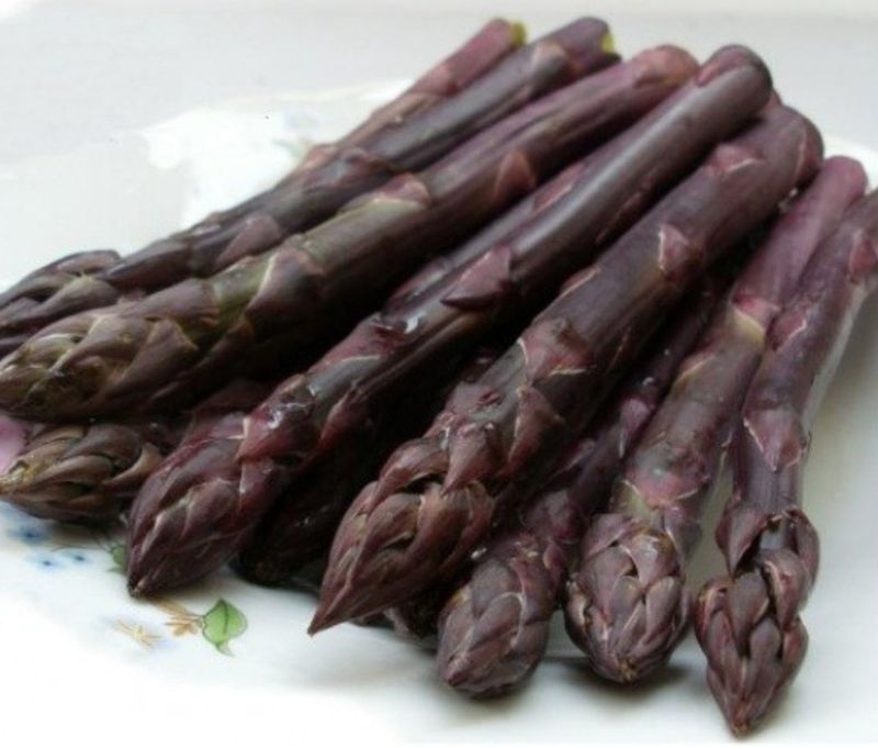 대산농사대장님의 장터 판매 상품 [적아스파라거스] 첨부 사진