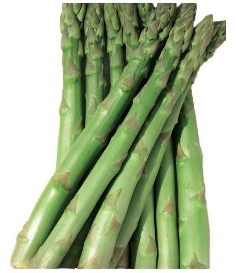 대산농사대장님의 장터 판매 상품 [적아스파라거스] 첨부 사진