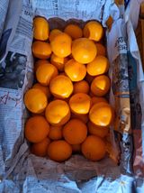 팜모닝 · 게시글 이미지