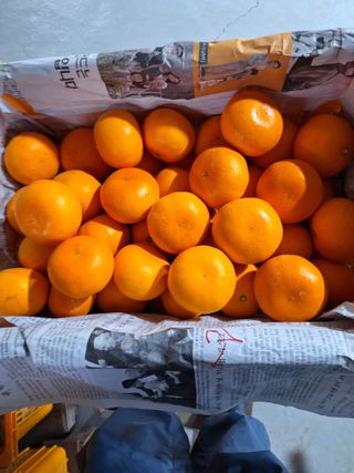 옥이네 농장님의 작성글 사진