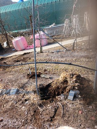 알 수 없음님의 자유주제 · 자유게시판 작성글 사진