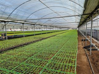 수박씨님의 고추 · 일상 작성글 사진