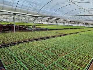 수박씨님의 고추 · 일상 작성글 사진