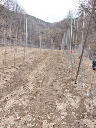 유병진님의 사과 · 영농일지 작성글 사진