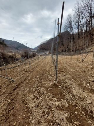 유병진님의 사과 · 영농일지 작성글 사진