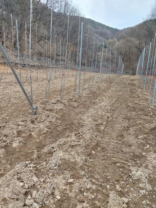 유병진님의 사과 · 영농일지 작성글 사진