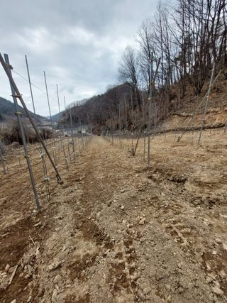 유병진님의 사과 · 영농일지 작성글 사진