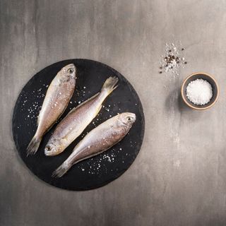 직송포유님의 작성글 사진