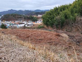 양전호님의 3월 내 작물 자랑하기 · 참여글 작성글 사진