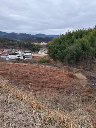 양전호님의 3월 내 작물 자랑하기 · 참여글 작성글 사진