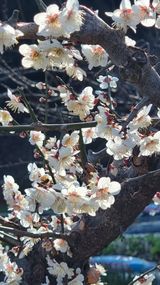 팜모닝 자유주제·자유게시판 게시글 이미지