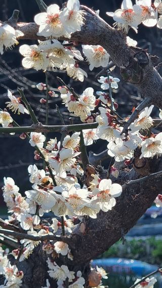 푸른꿈님의 자유주제 · 자유게시판 작성글 사진