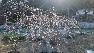 푸른꿈님의 자유주제 · 자유게시판 작성글 사진