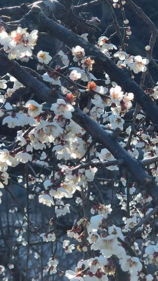 푸른꿈님의 자유주제 · 자유게시판 작성글 사진