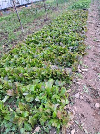 김차식님의 작성글 사진